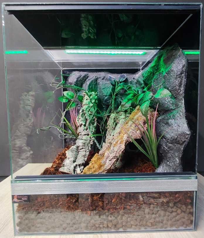 Terrarium dla gekona orzęsionego 50x50x60