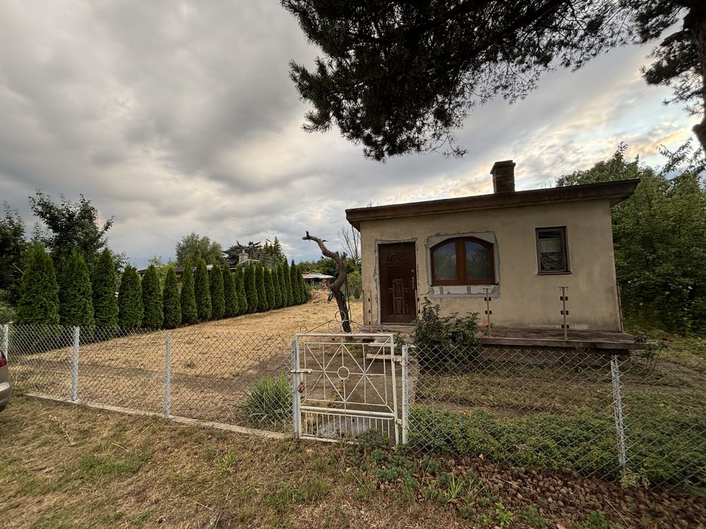 Działka ROD Żychlin 312m2 działka na rodzinnych ogródkach działkowych