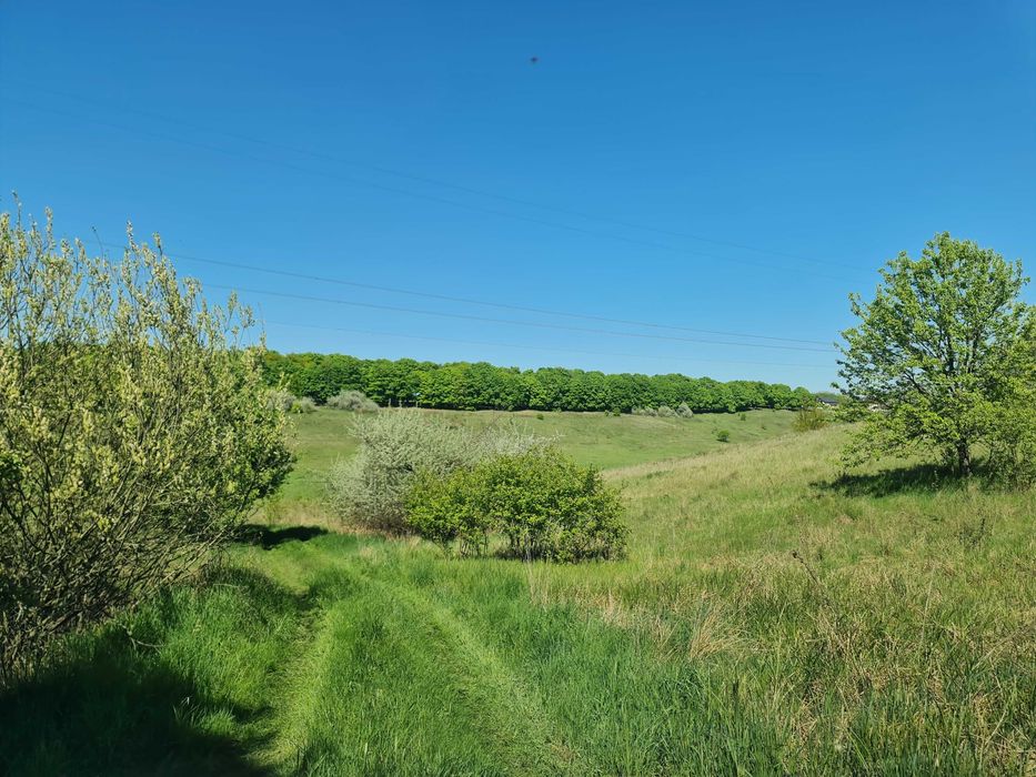 Продаж 14га землі, мальовнича Балка Хорватка, Кулибаба, 32км від Києва