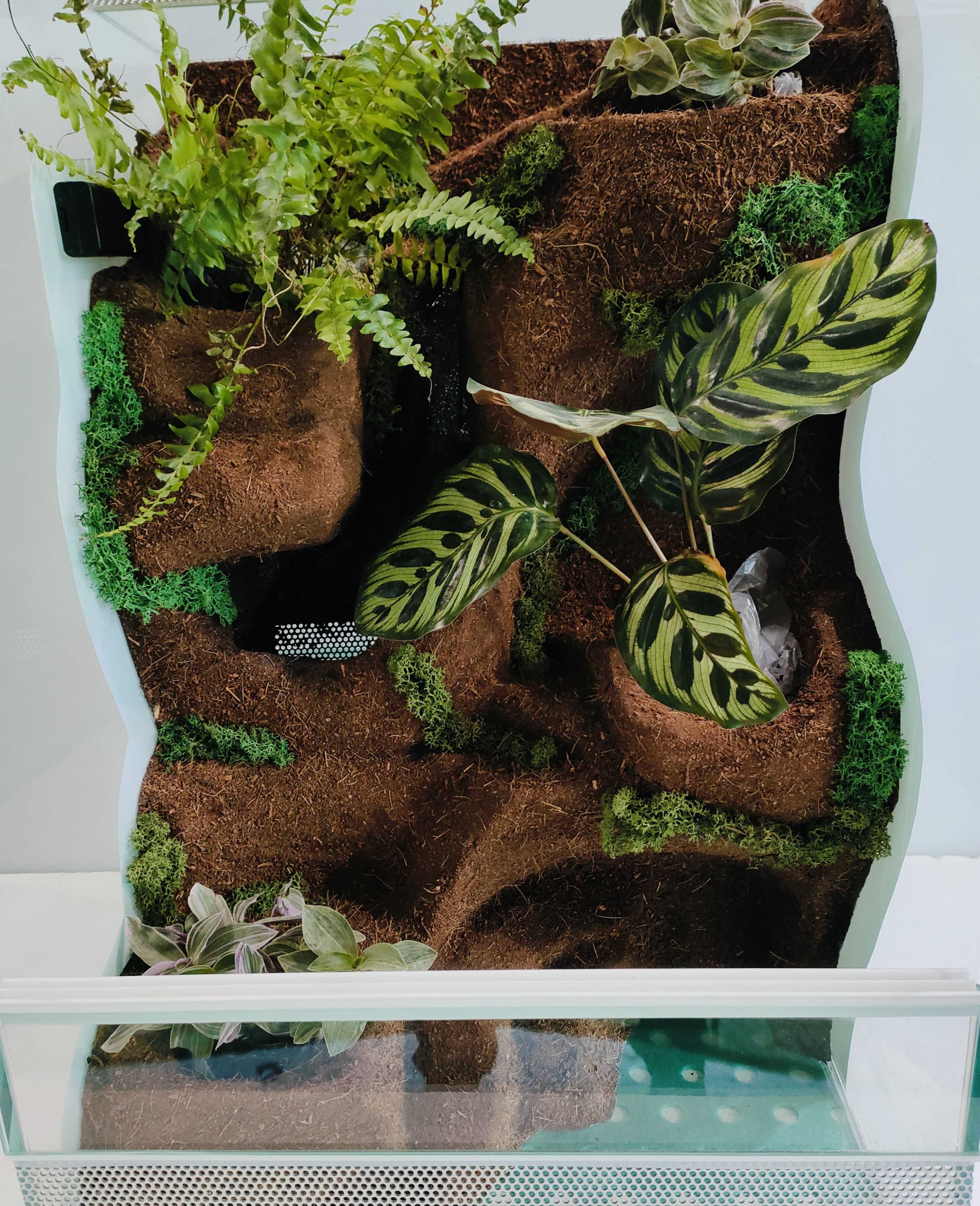 Terrarium z wodospadem dla gekona orzęsionego AquaWaves TW26TR