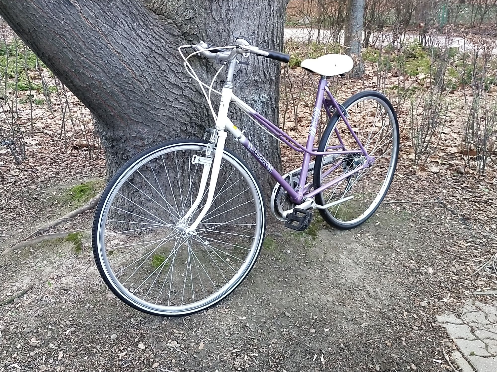 Niemiecka dwurulka Active kola 28"rama20"