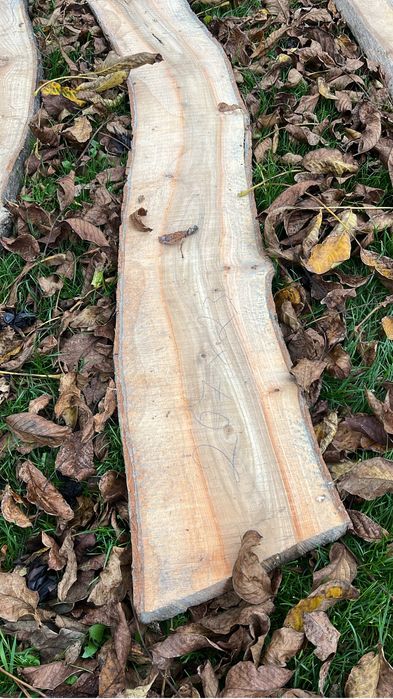 Dechy orzech włoski ostatnie sztuki!