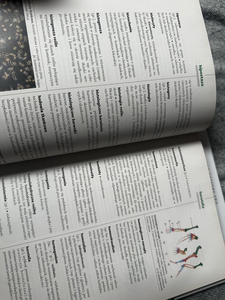 Słowniki biologiczne 2 szt.