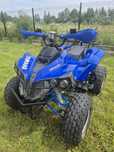 Quad Bombardier 125