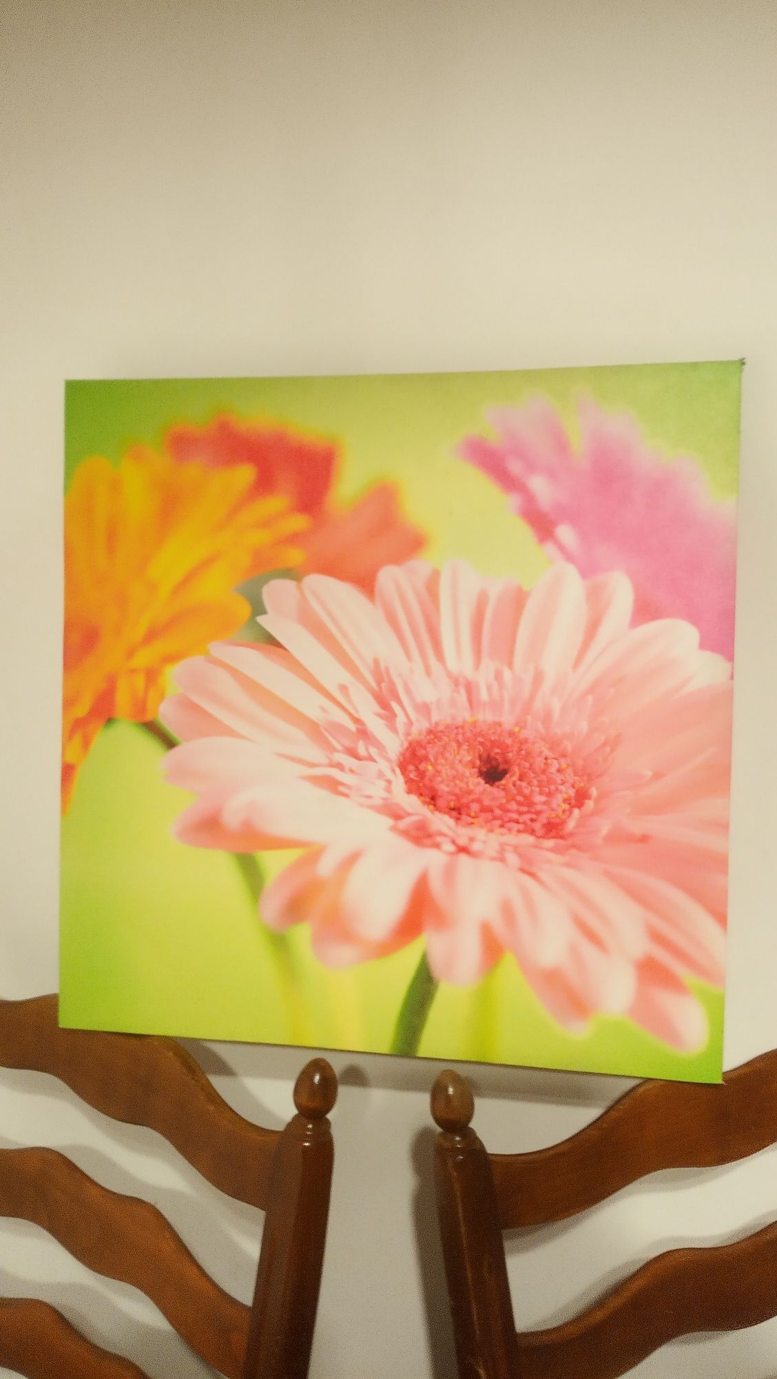 Obraz kwiatek 50x50