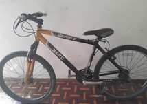 Vendo bicicleta berg country s1