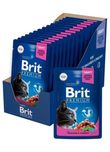 Brit Premium для котів Chicken & Turkey 24штх100г курка/індичка