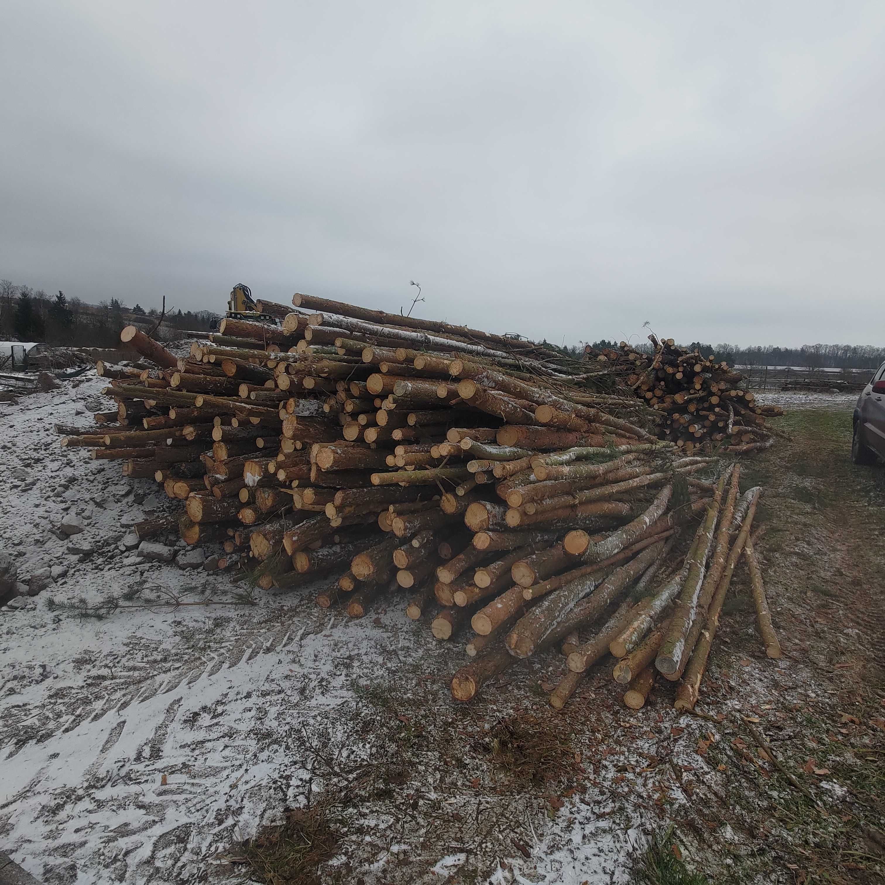 Żerdzie drewniane ,świerkowe i sosnowe , ( drewno opałowe)