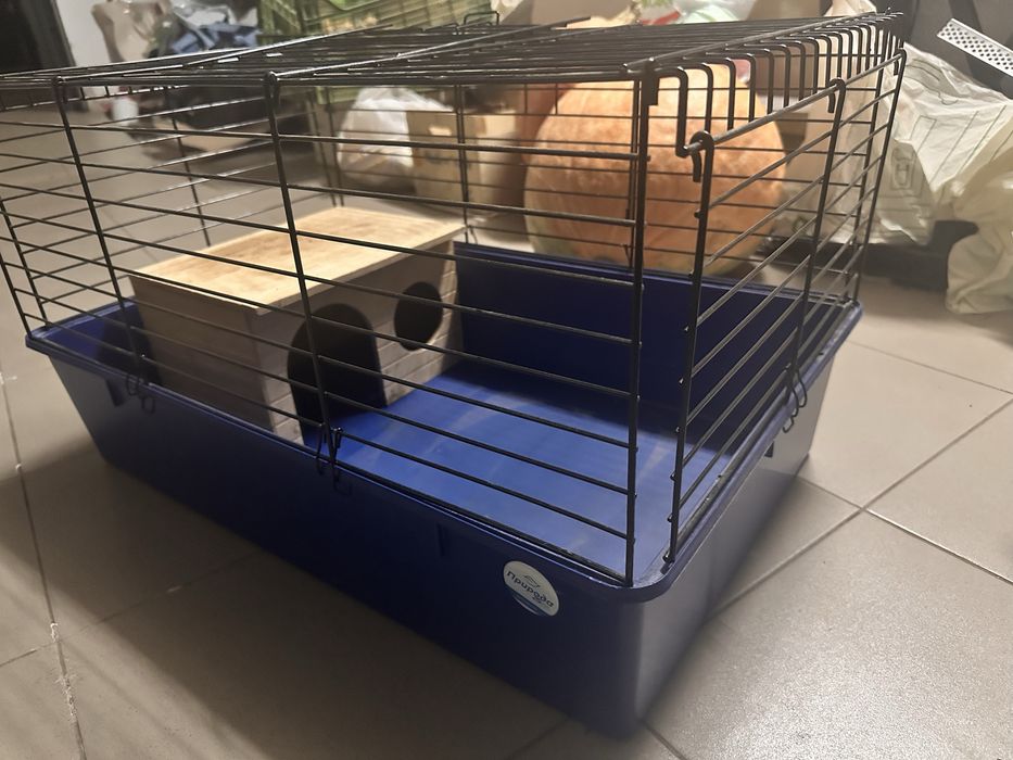 Клітка для кролика