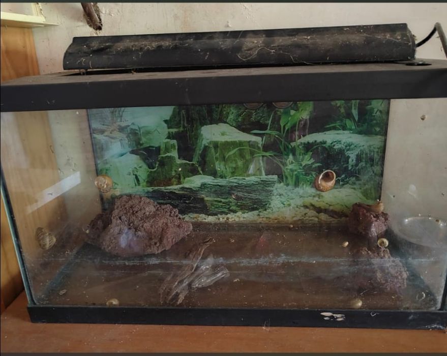 Aquário para peixes