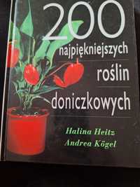 200 najpiękniejszych roślin doniczkowych Heitz Kögel