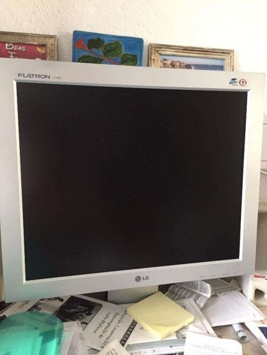 LG - LCD monitor - 17