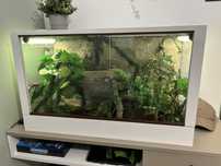 sprzedam terrarium 80x40x50
