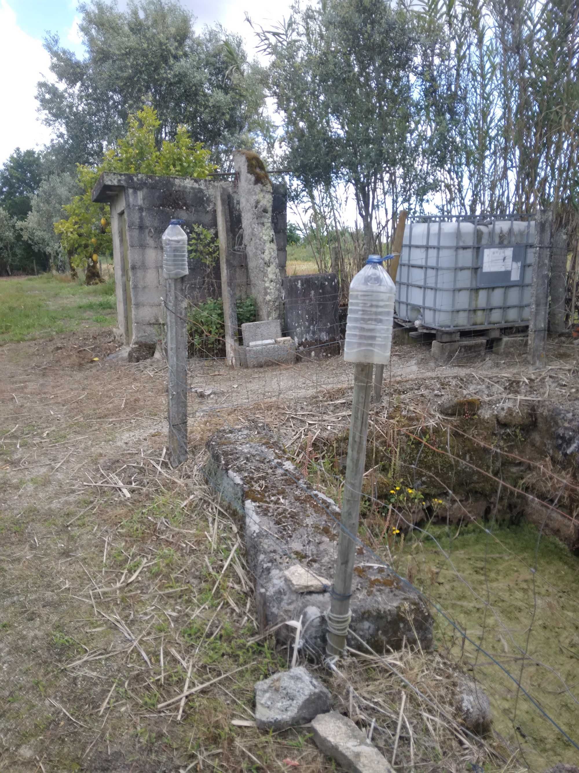 Quintinha com casa de arrumos
