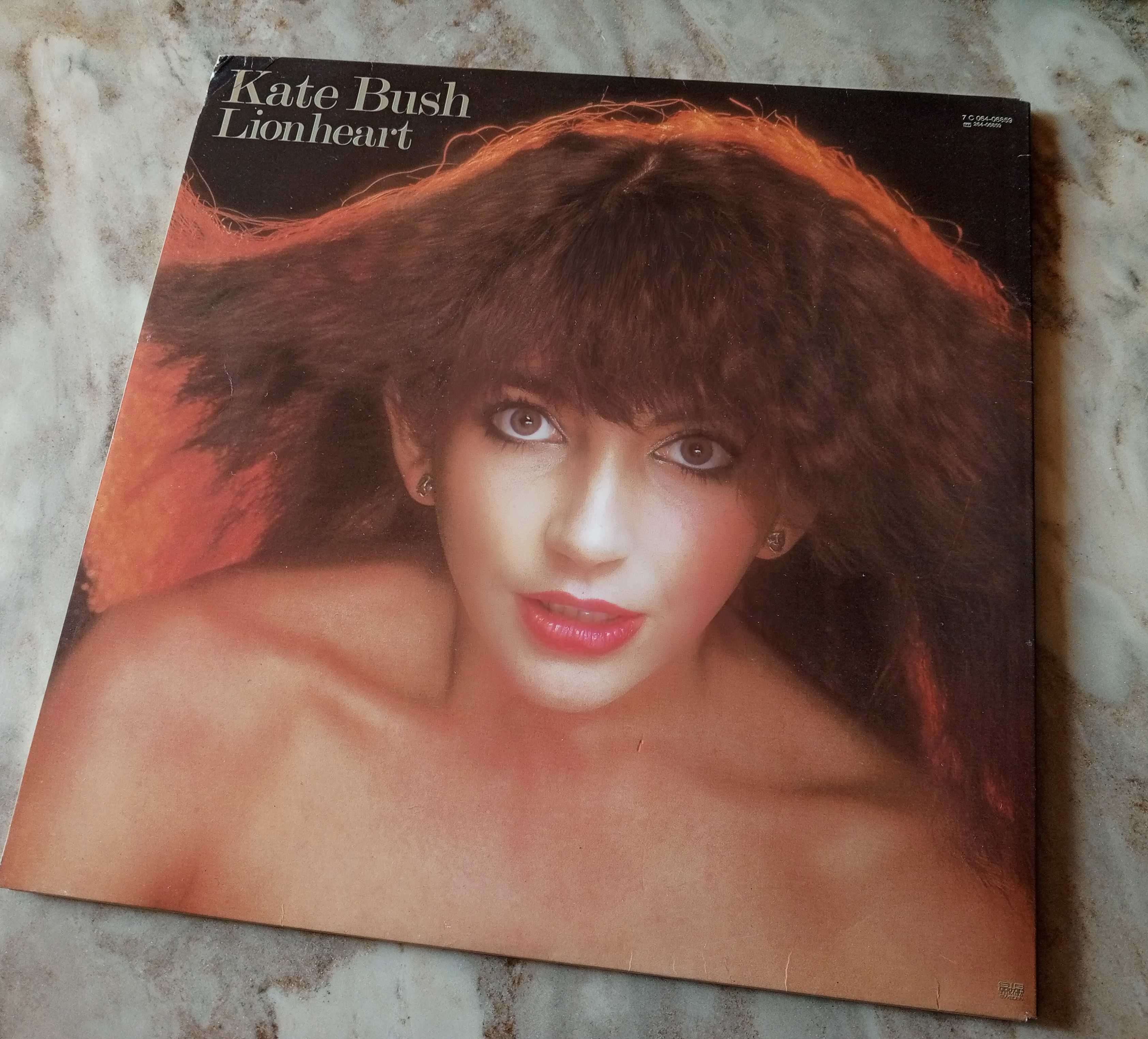 Vinyl/пластинки Kate Bush / U2