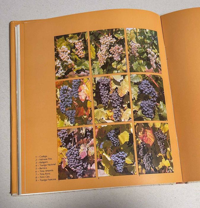 Port wine - Obra ilustrada (Vinho do Porto)