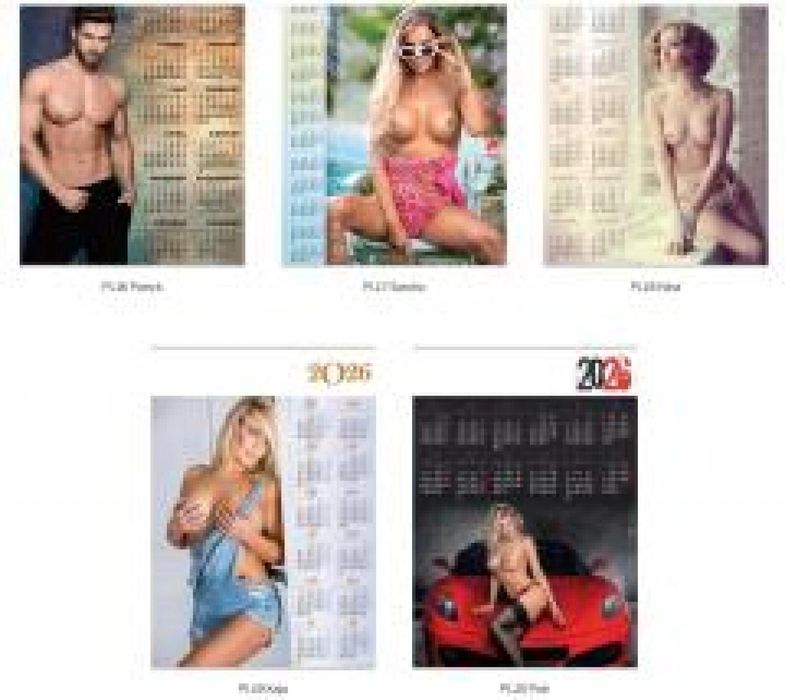 Kalendarz 2026 Jednoplanszowy MIX 2 (5szt) Lucrum Rok wydania: 2025,