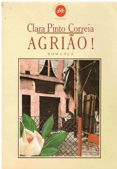 2408 - Livros de Clara Pinto Correia (Vários)