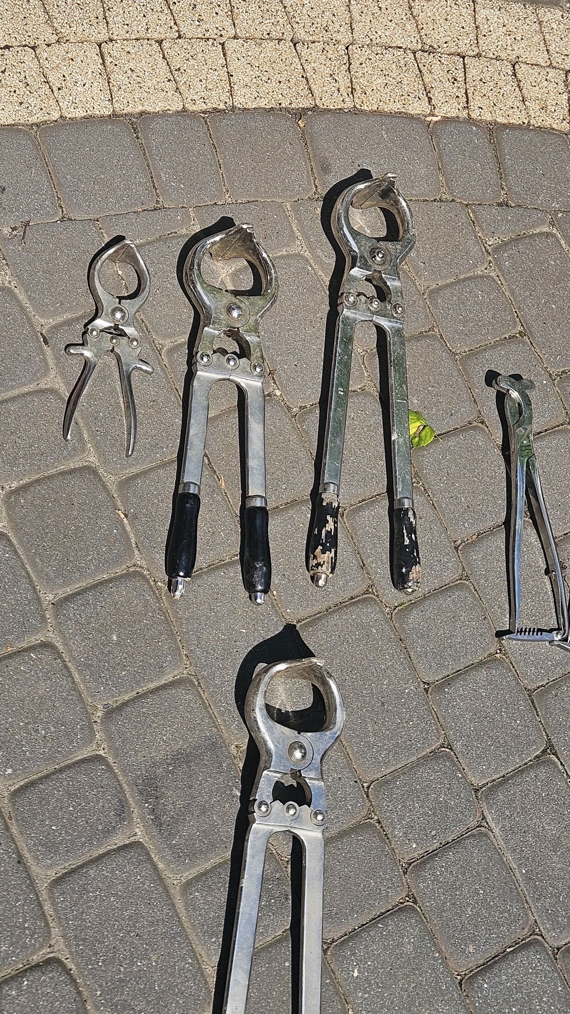 Szczypce kastracyjne dla byków i koni. Kastrator
