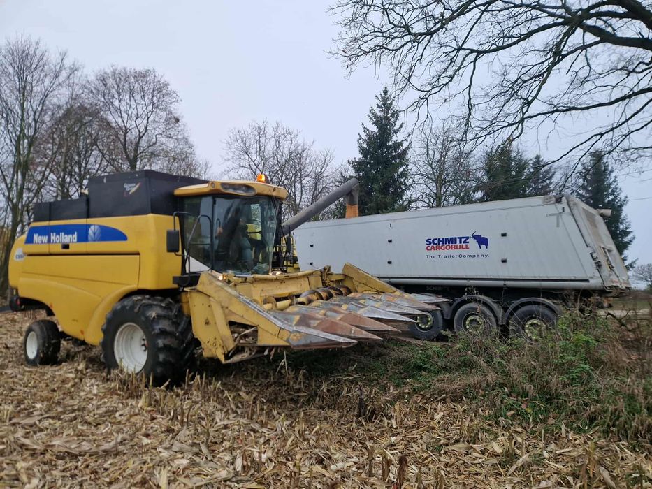 Koszenie kukurydzy na ziarno