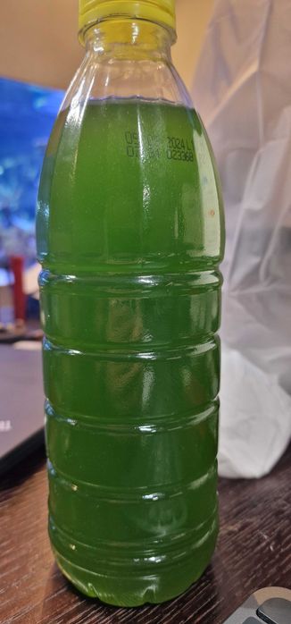 Fitoplankton morski (Nannochloropsis, Tetraselmis, Isochrysis) 1L