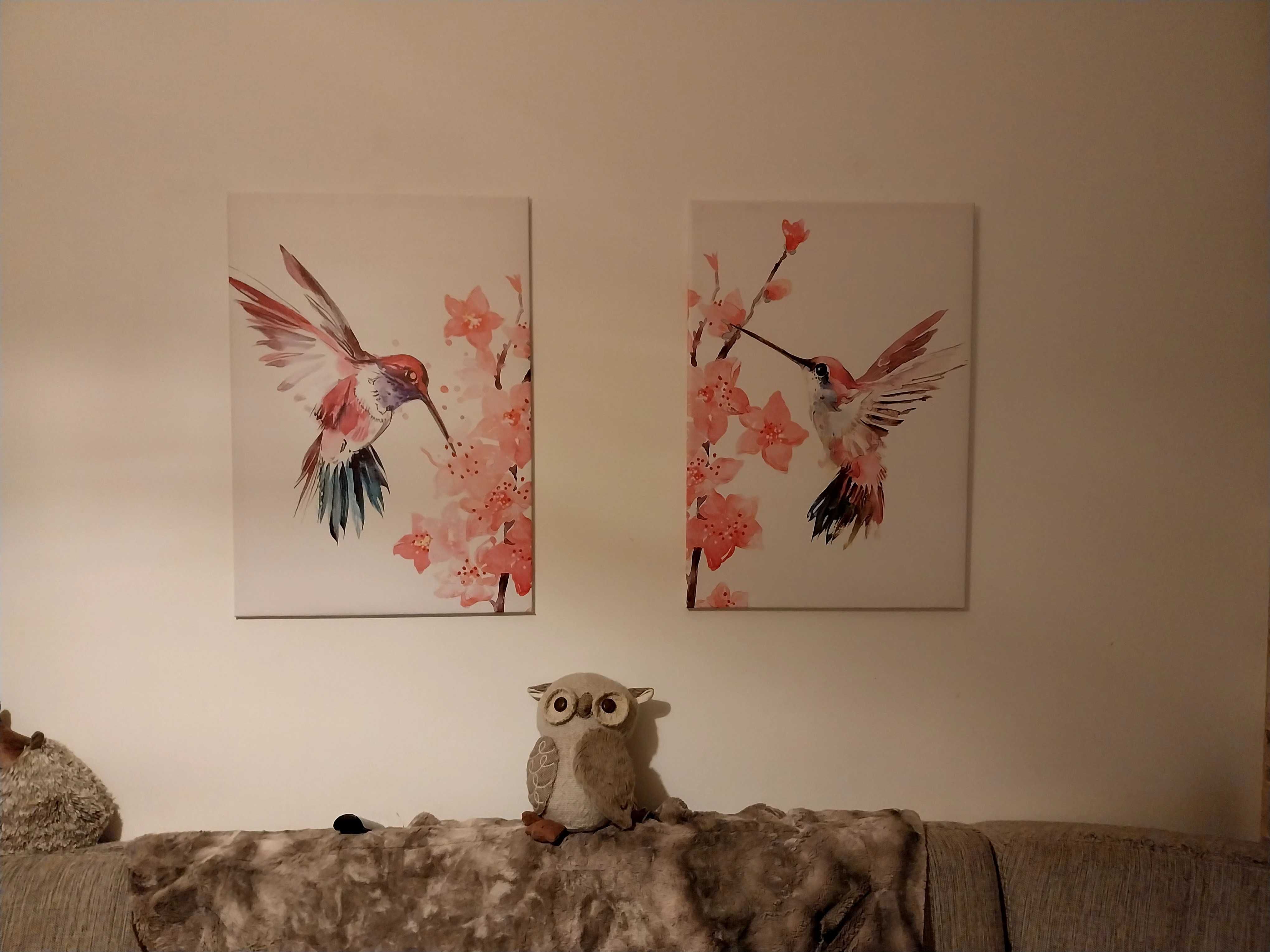 Quadros/telas com pássaros colibris
