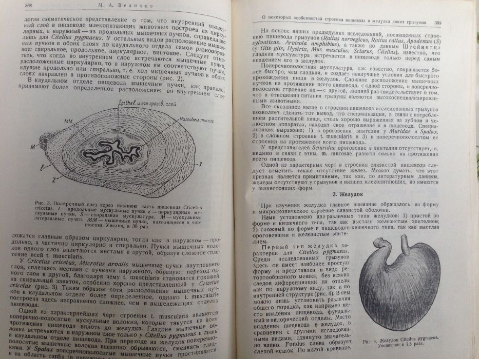 Анатомия, гистология и эмбриология 1939 г