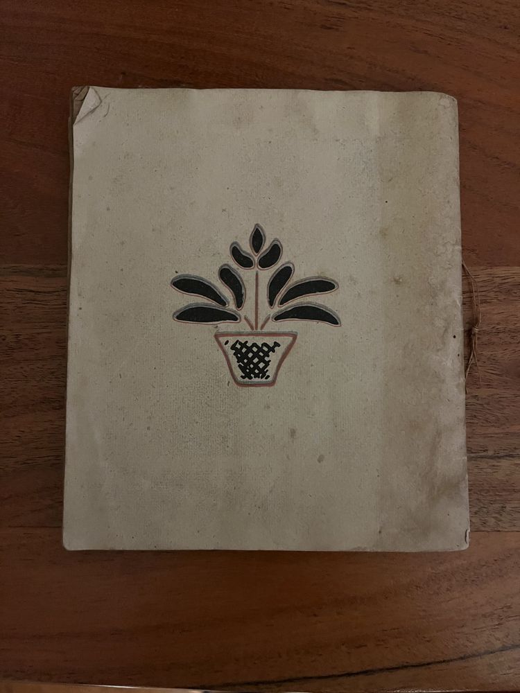 Livro Joao Pateta ( conto)