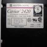 Retro Dysk HDD Western Digital CAVIAR 2420, 425Mb IDE/ATA