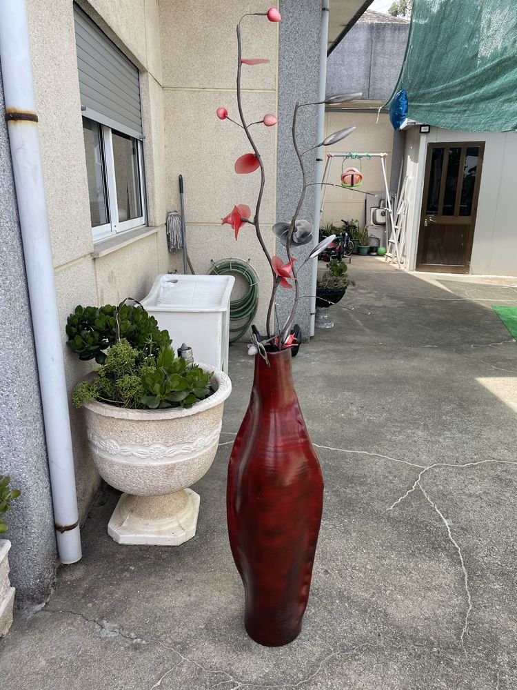 Vendo jarrao vermelho