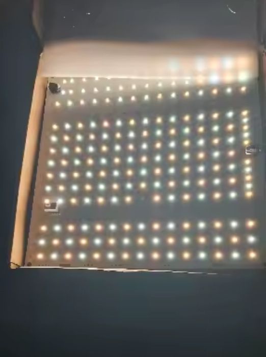 quantum LED фітолампа samsung QDB650–для ідеального росту рослин

прод