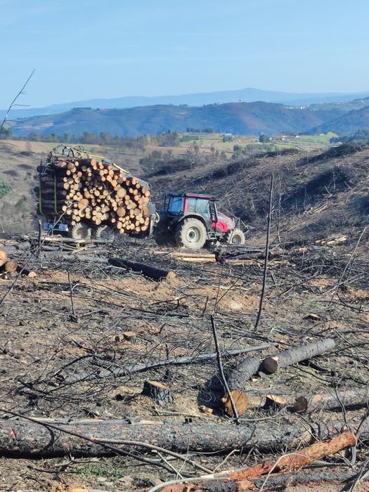 Valtra N101 c/ Reboque e Grua Costa G3000x Florestal