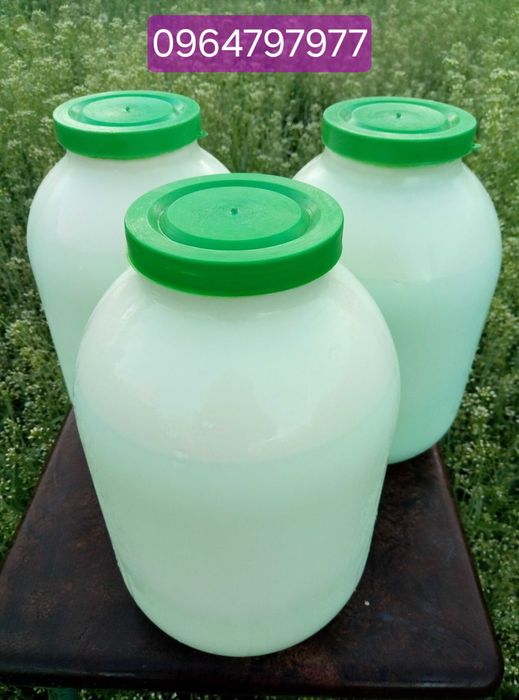 Продам  коров' яче домашнє молоко, сметану, творог.