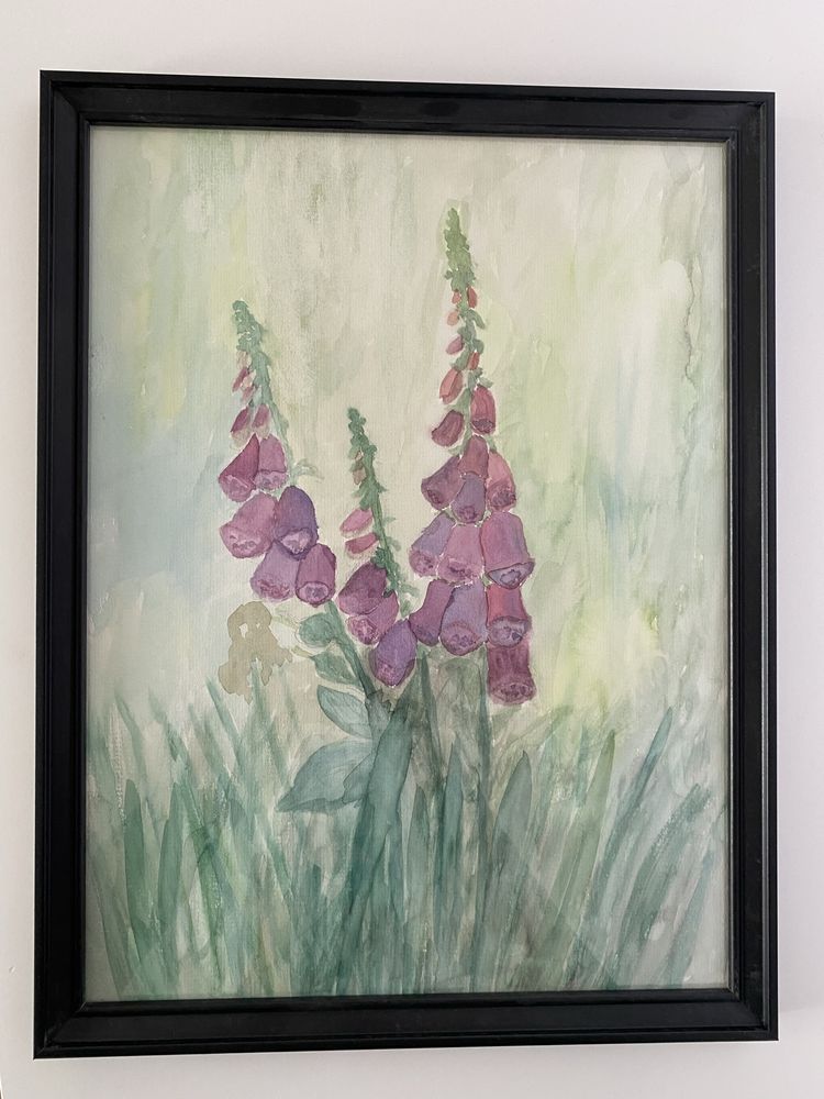 Naparstnice akwarela 30 x 40
