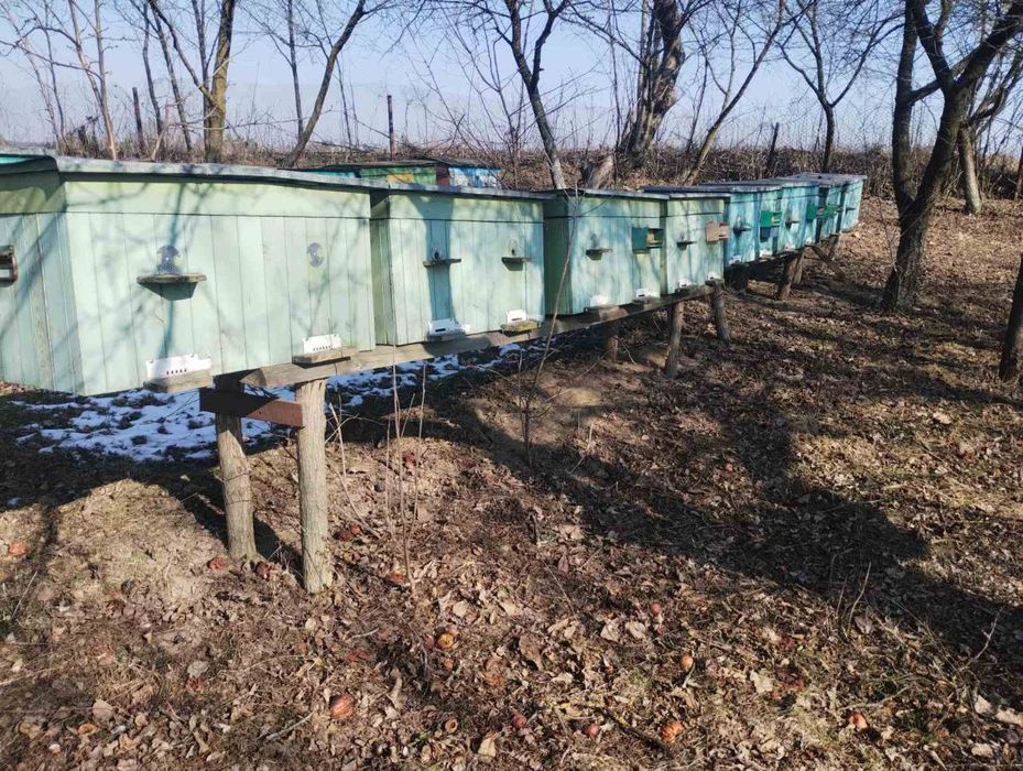 Продам вулики. Ціна договірна