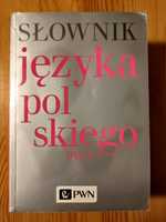 Słownik języka polskiego