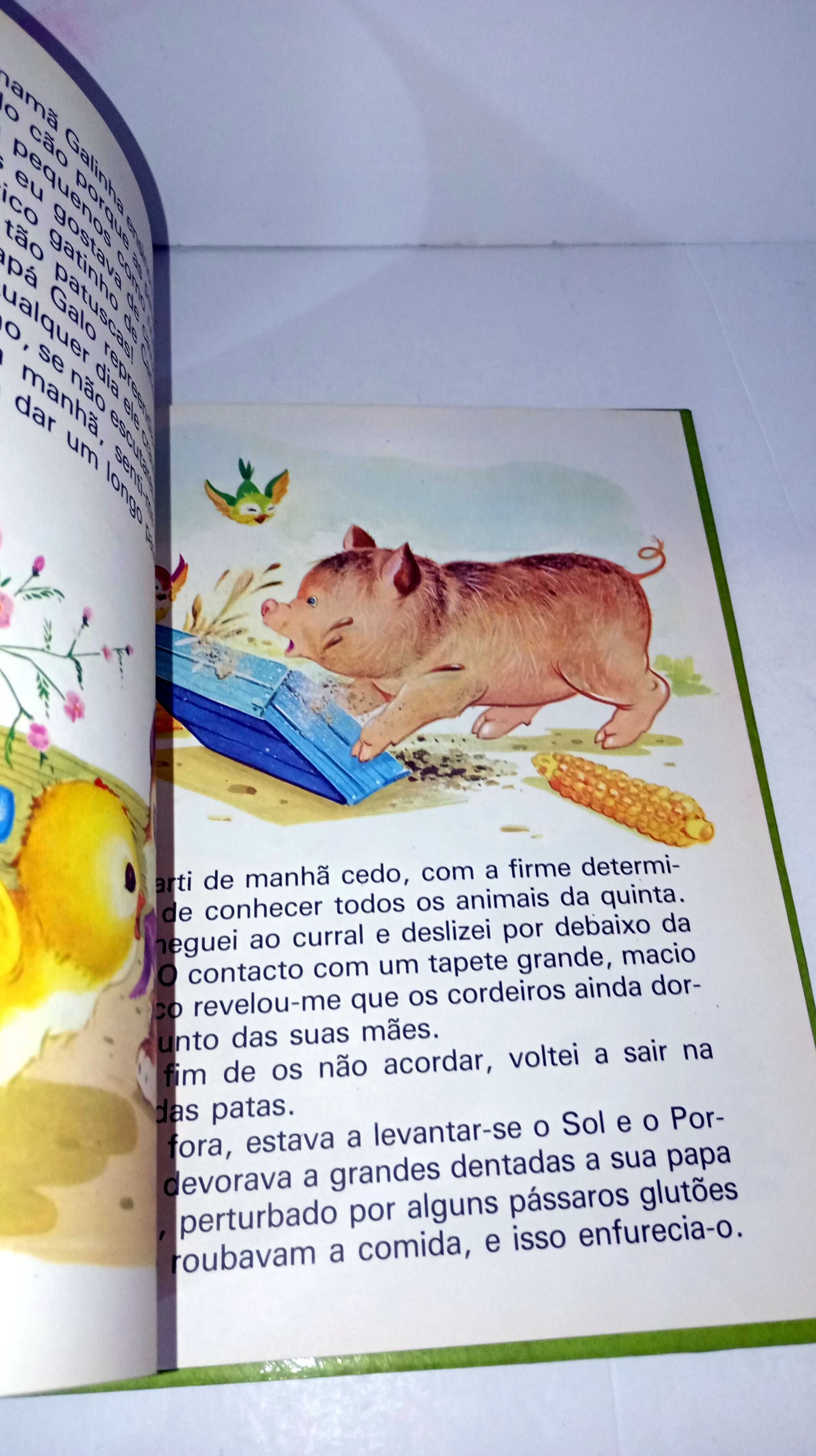 As Aventuras de Pintainho