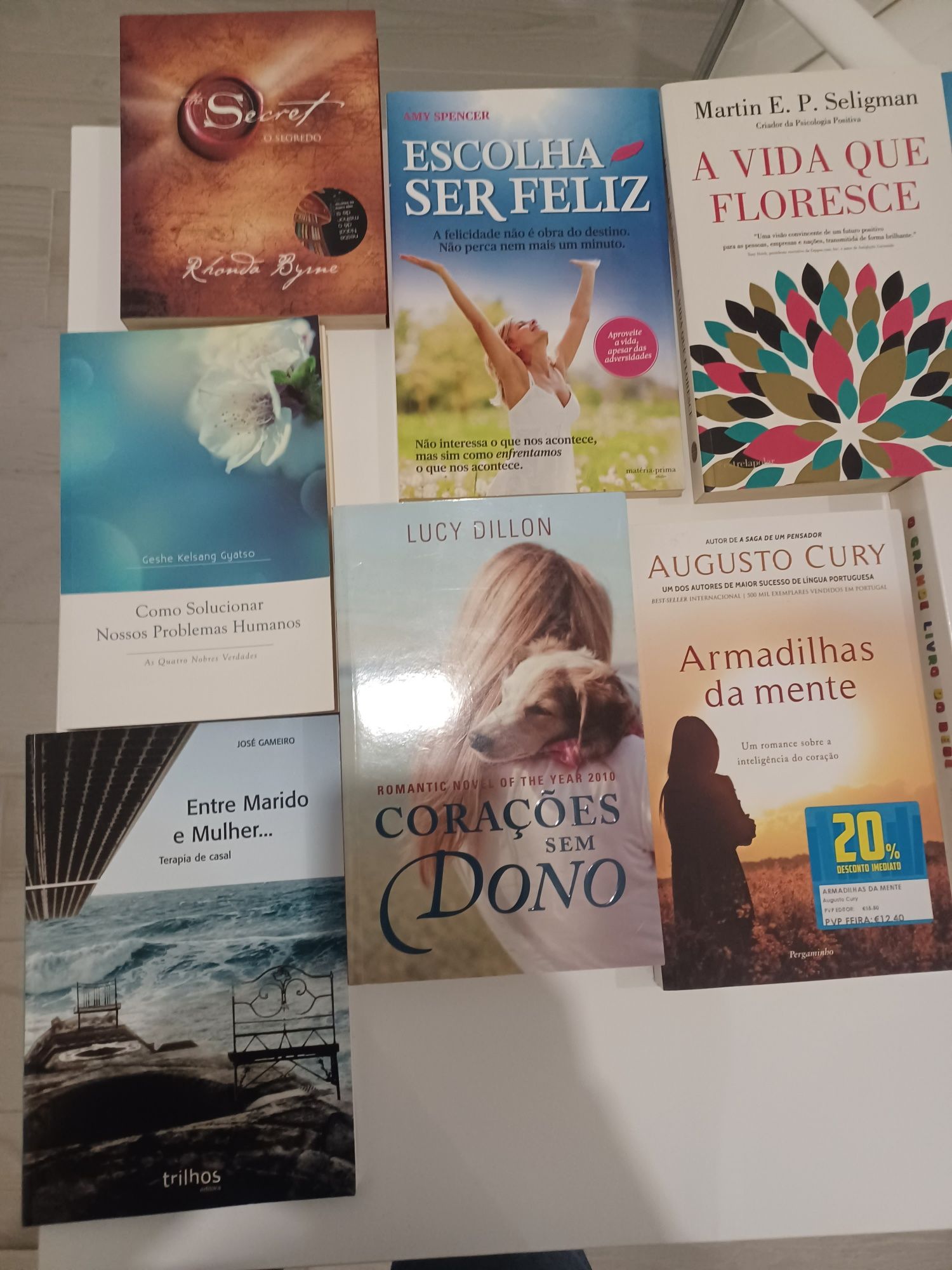 Conjunto de 23 livros