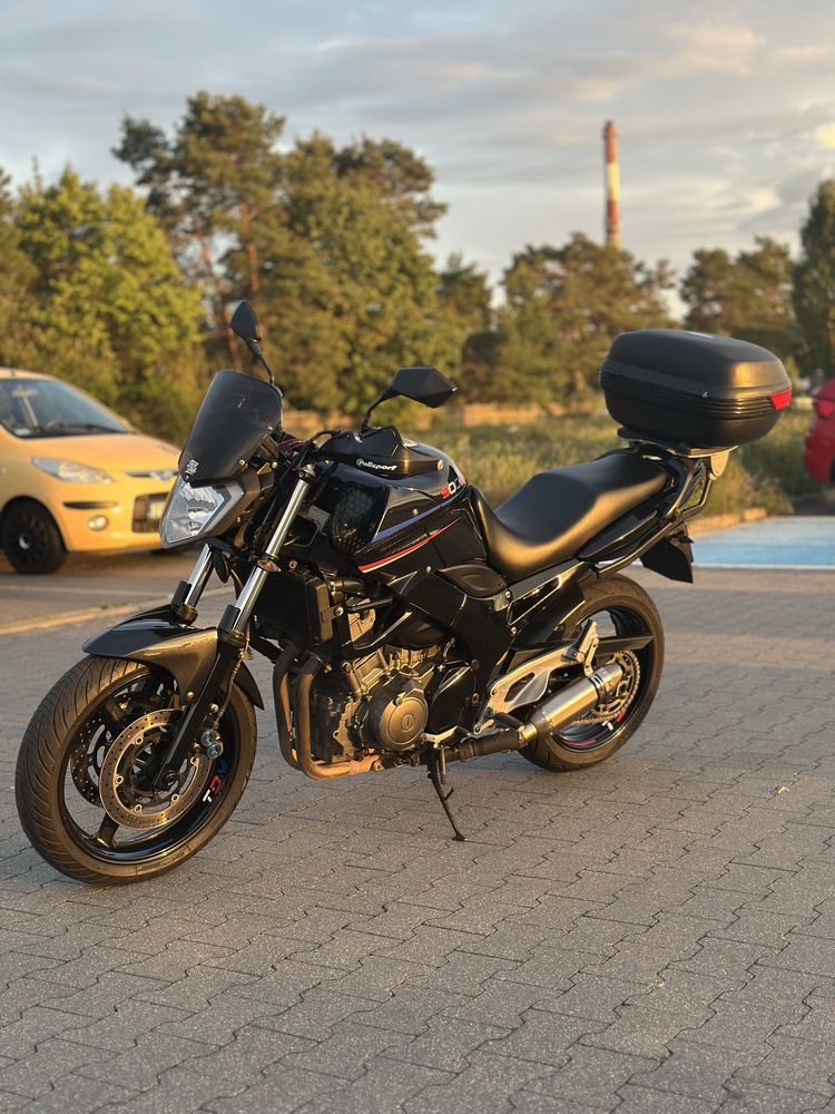 Yamaha TDM 900 niepowtarzalna, super