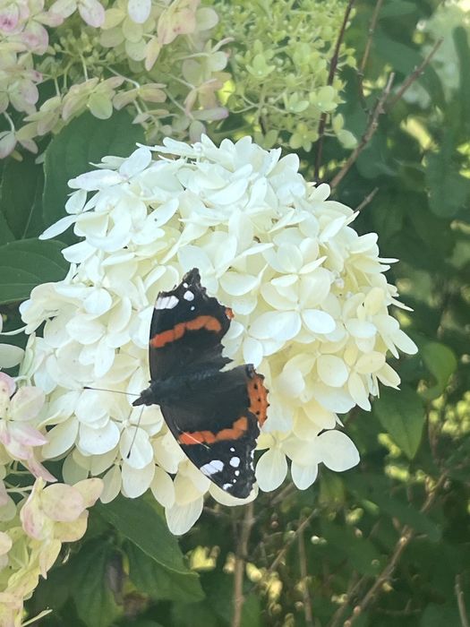 Noclegi , kwatery pracownicze , wynajem sali