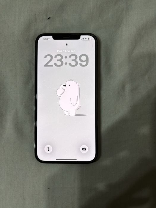 Iphone 12 pro max