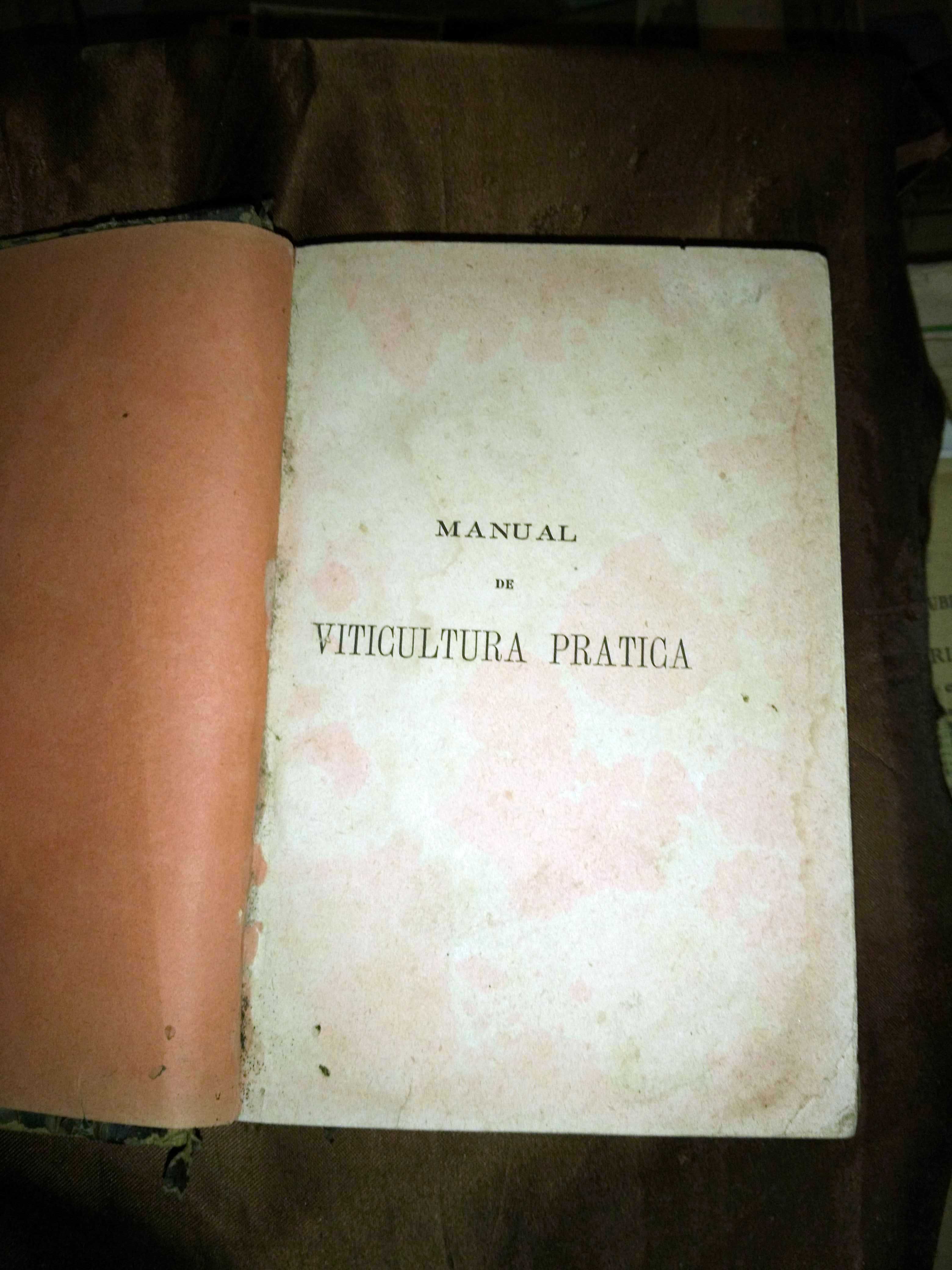 MANUAL DE VITICULTURA PRÁTICA - Visconde de Villa Maior (1881)