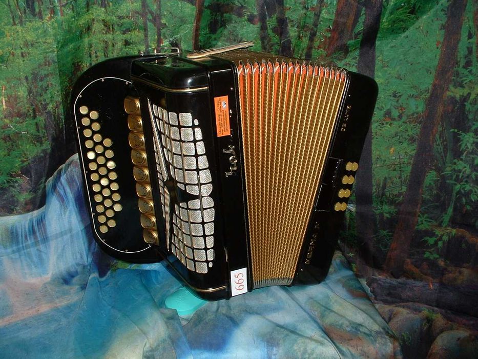 Concertina a venda n.665