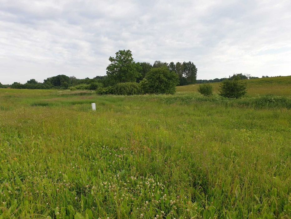 Działka Młynowo k. Mrągowa