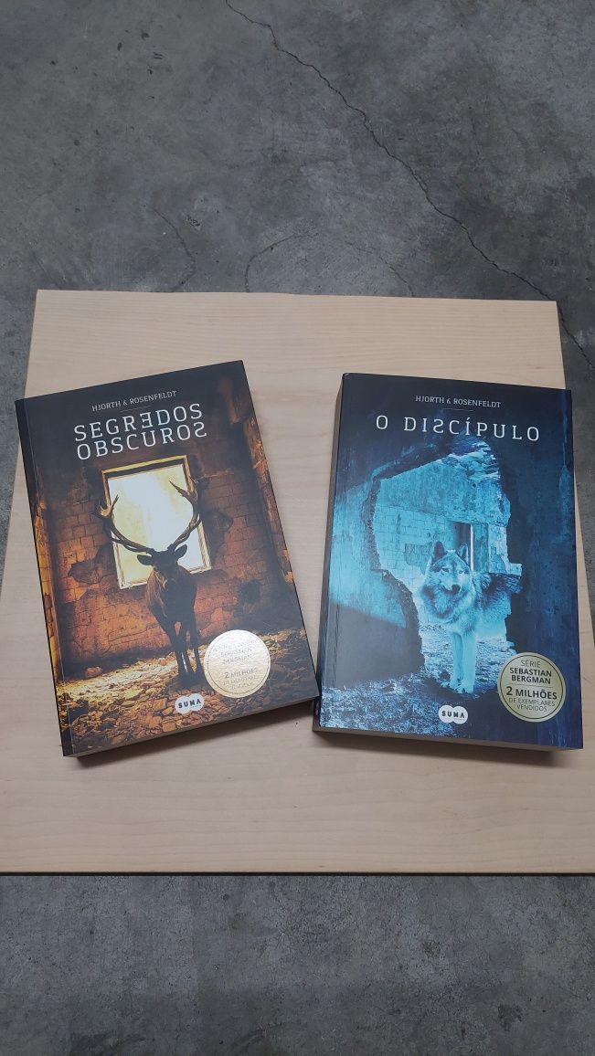 Livros Série Sebastian Bergman - Hjorth e Rosenfeldt