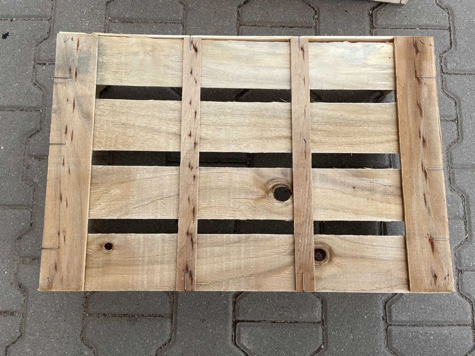 skrzynka, łuszczka-łuszczki na por, kalafior, sałata, rzodkiewka,