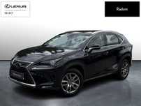 Lexus NX NX 300h [BusinessEdition] Salon Polska | Serwis ASO | Gwarancja
