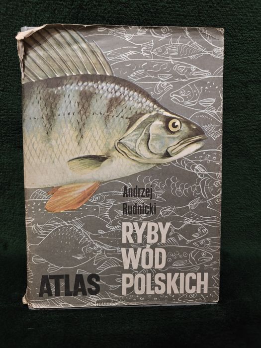 Ryby wód polskich Andrzej Rudnicki Atlas
