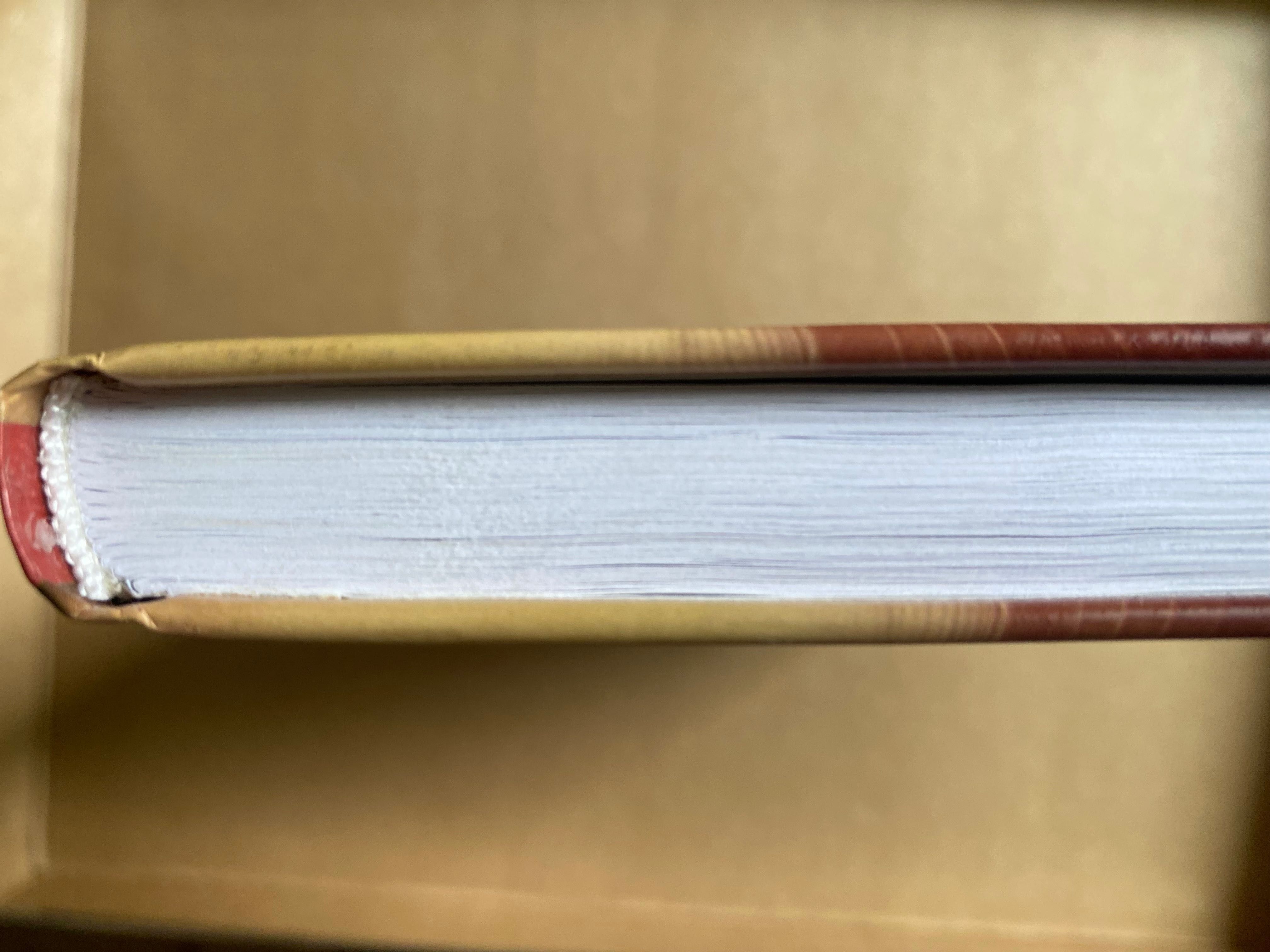Podziemia Veniss, Jeff Vandermeer