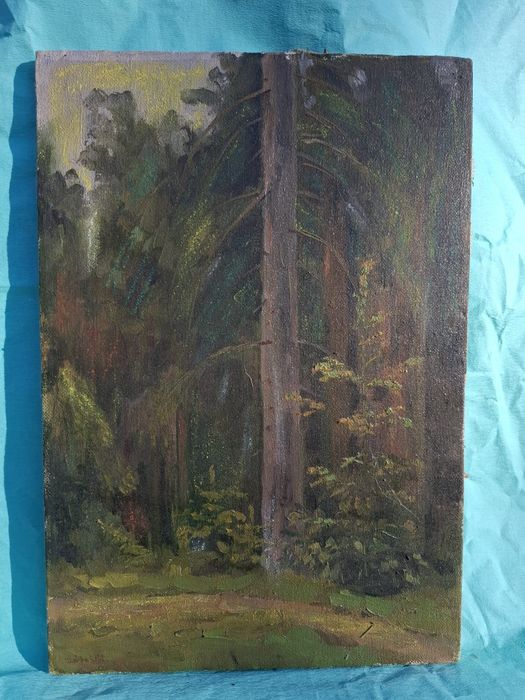 Obraz na płótnie "w Karpatach" 1991